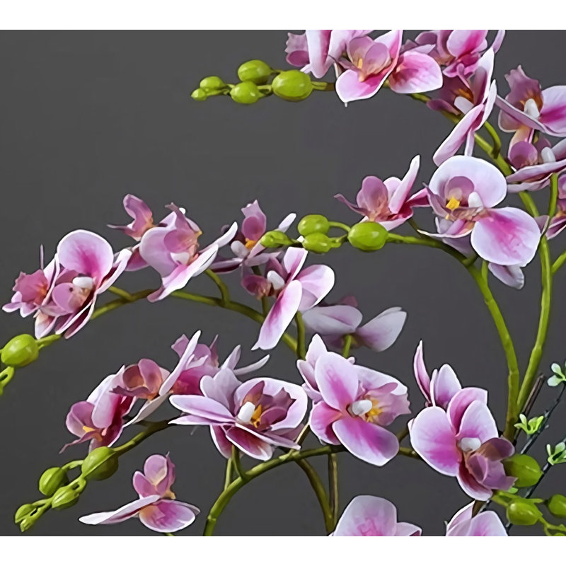 Simulation d'arrangement floral orchidée papillon, Mauve
