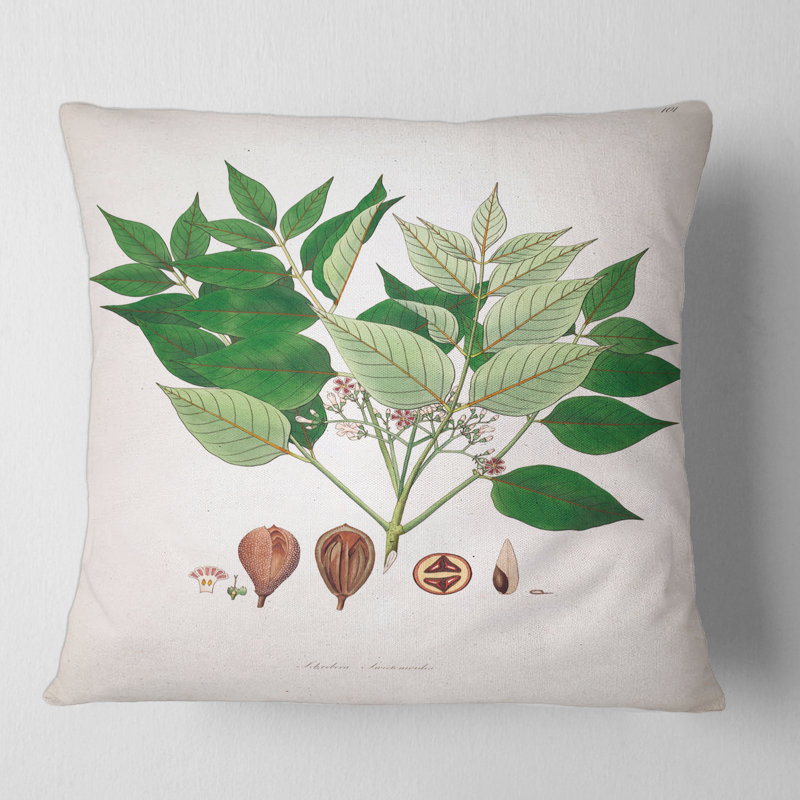 Coussin Vintage Plant Life, 18" x 18"