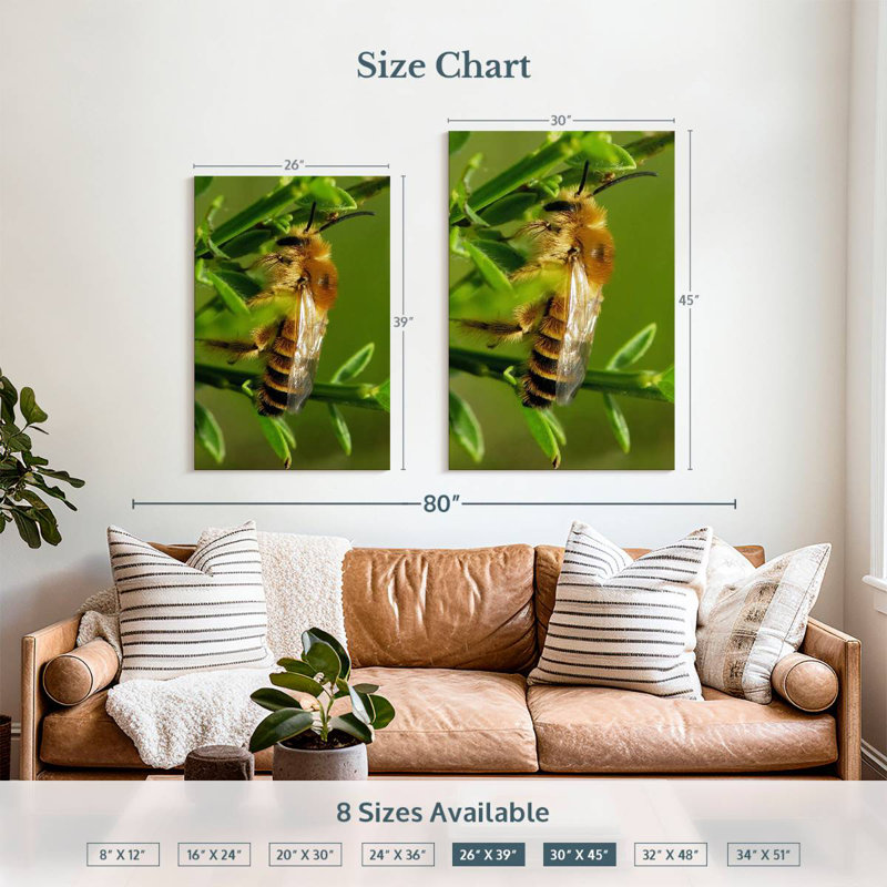 Brampt Bee Bee Bee, 39" H x 26" W