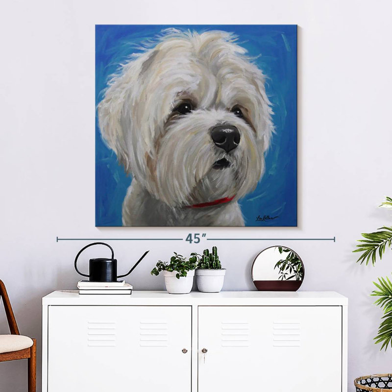 Crowle Maltese Shih Tzu Pipa, 33" H x 33" W