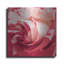  «Wild And Speckled» par Life BeautifuLEE, art mural en métal, 12 po x 12 po-947683245