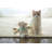 Rockmart Plastic Pet Barrier