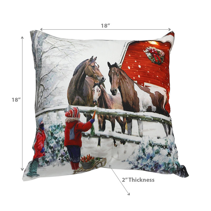 Coussin décoratif en velours 