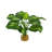 19 " H Faux Plant in Glass Vase