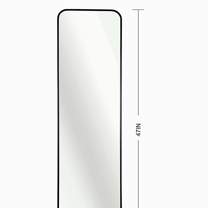 47 x 14IN Door mirror.(W2203P182244), Black