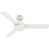 Blanc est en rupture de stock