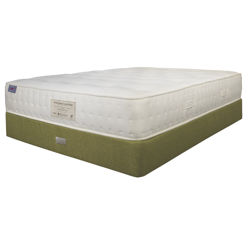 Whole Sleep Cotton 6 Plush Mattress, King