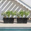 Pot à fleurs Pure Series Midori-2065589316-2065589312-2085626779