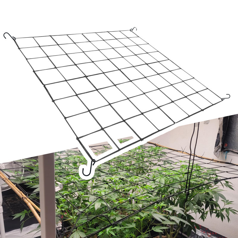 Bay Netting Bay Isle Home™ Grow Tent Netting, 4x4ft Elastic Netting With 4 Hooks ...