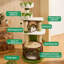 Structure d'escalade simple et créative pour chat