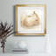 White Pear Study II - reproduction encadrée de qualité supérieure - prête à être accrochée-1445865592-1445865597