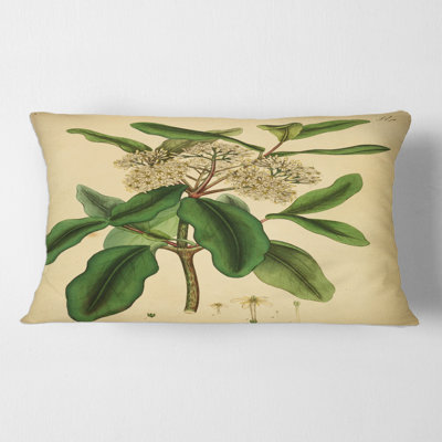 Vintage Plant Life I - Traditional Printed Throw Pillow