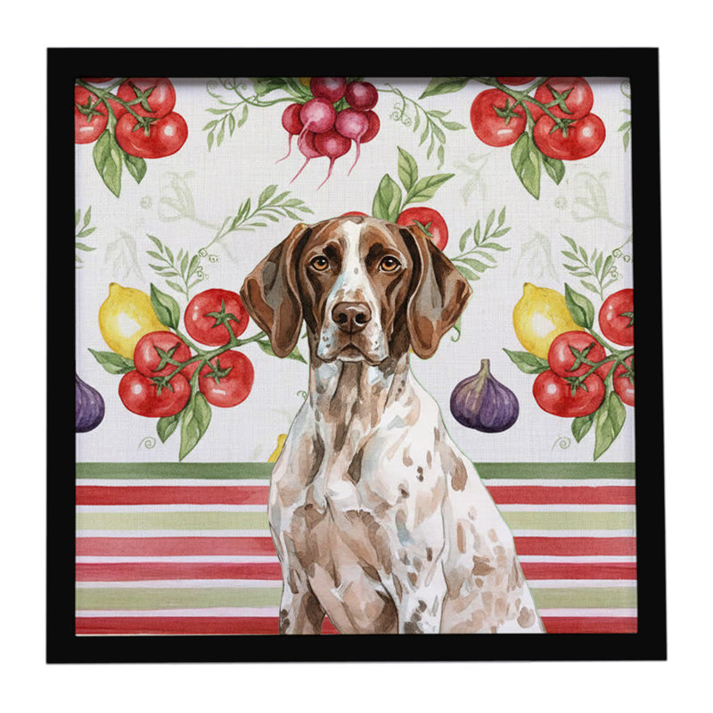 «German Shorthaired Pointer», impression sur métal encadrée