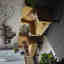 Photos des clients 1 de 1