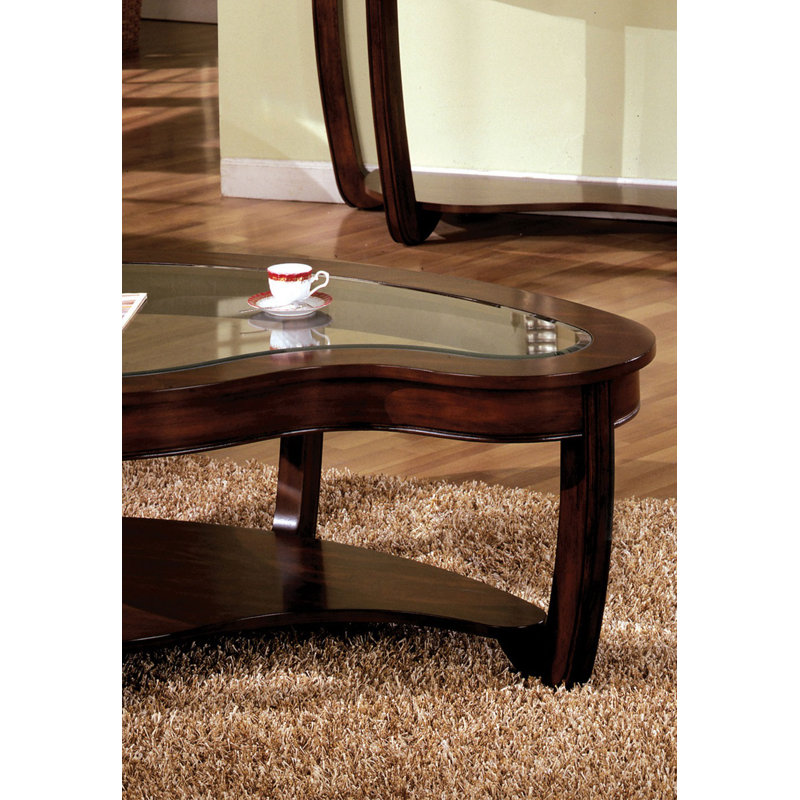 Table basse à plateau en verre à conception unique avec tablette inférieure ouverte