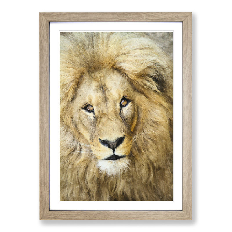 The Face of a Lion - Picture Frame Painting Print on MDF, 45cm H x 33cm W x 2cm D, Oak Framed