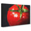 Red Tomatoes - Wrapped Canvas-56634848