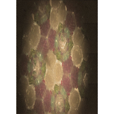 Indoor Rug