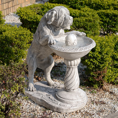 Fontaine de bain chien oiseau