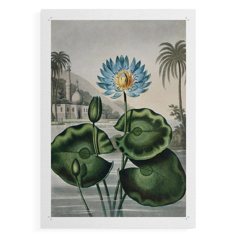 Temple de la Flora IX - reproduction de toile seulement - non encadrée, H 48 po x l 32 po