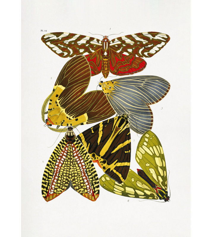 Wrapped Canvas Print, 60.96 cm H x 91.44 cm W