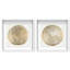 Oliver Gal Legno Set Abstract Botanical - Luxury Shadowbox Framed Wall Art-1245843415-1245843412