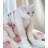 Dog Blankets-99183244