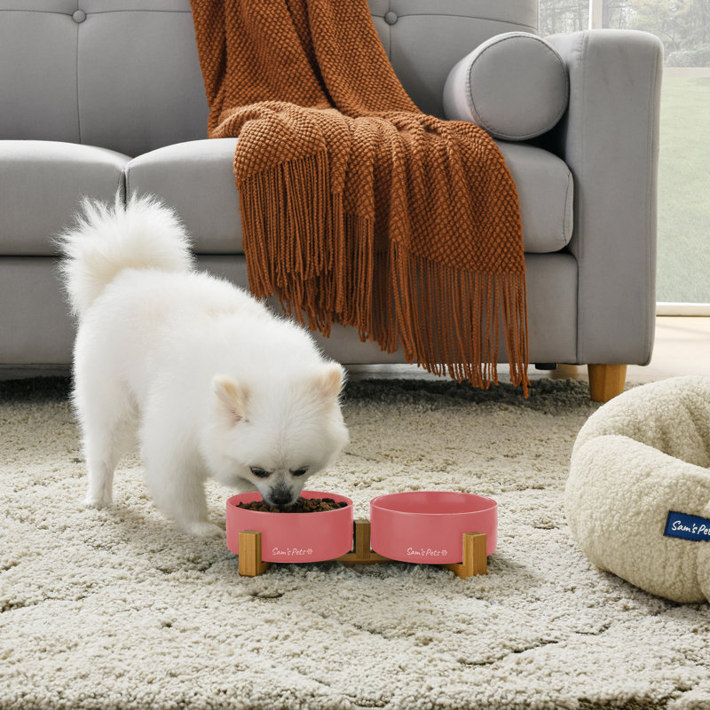 Coco and Pet Bowl, Pink