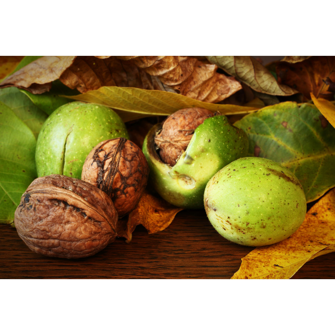 Nahaufnahme von grünen und braunen Walnüssen auf Holztisch von Pomarinus - Leinwanddruck ohne Rahmen