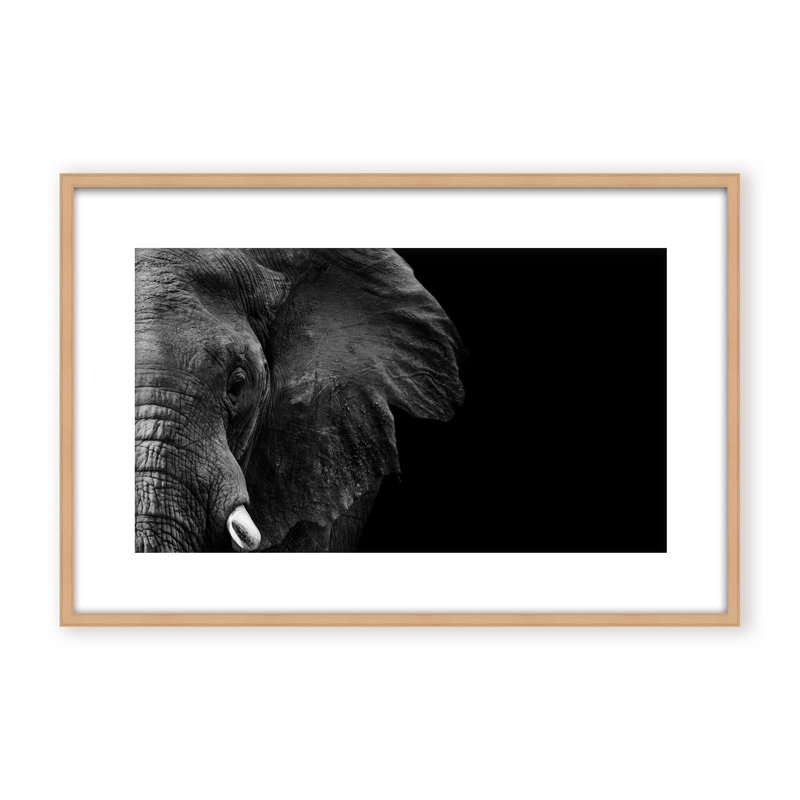 Nature Inspired Elephant by  - Picture Frame Photograph on Paper, 16" H x 24" W x 1.125" D, Framed Matted Print, Black