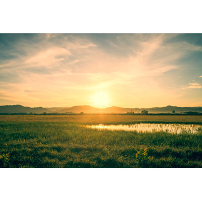 Larrine Morning by Muangsatun - Wrapped Canvas Print
