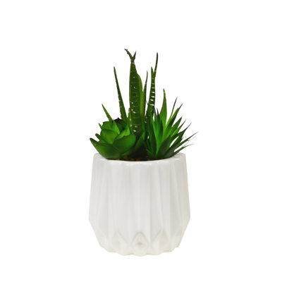 3.5" Artificial Succulent Plant in White Ribbed Vase