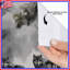 Rideaux de douche loup gris en forêt extra long-595185624