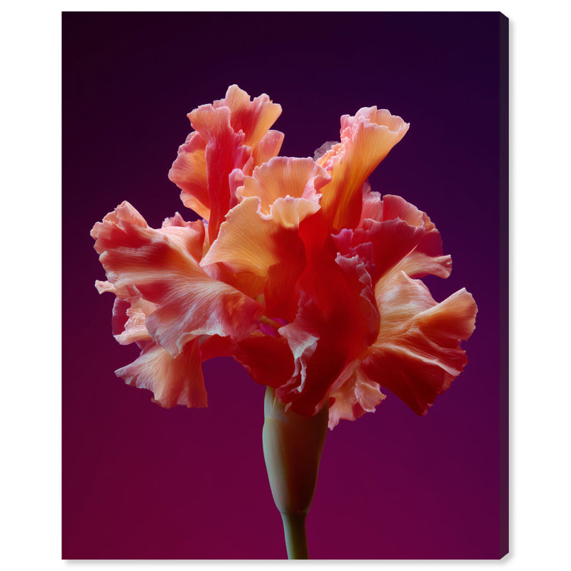 Taffeta Twilight I Print by Oliver Gal, 30"H x 36"W, Gallery Wrapped