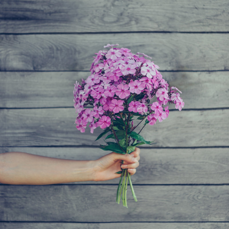 Bouquet Of Flowers by Remains - Wrapped Canvas Print, 76cm H x 76cm W