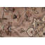 Tapis beige et rouge noué à la main de haute qualité