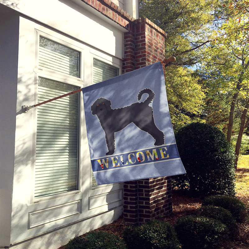 Double Sided 40'' H x 28'' W Polyester House Flag