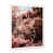 White Single Picture Framed