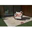 Paletti Outdoor Lounge Chair-298654739