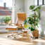 Bentham Plant Stand