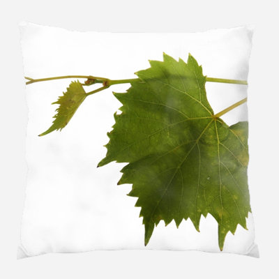 Coussin décoratif intérieur/extérieur grapevine