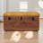 Buffalo Hide Caramel Storage Trunk-108808801