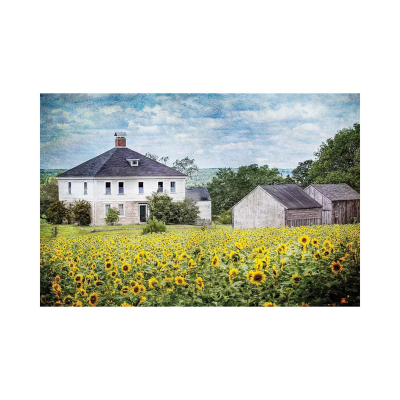 Sunflower Farm by Karen Burke - Wrapped Canvas Print, 45.72cm H x 66.04cm W x 1.905cm D
