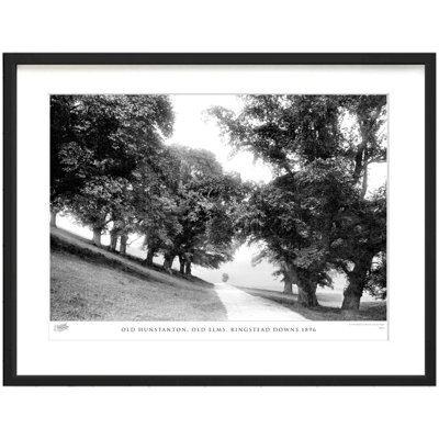 Old Hunstanton, Old Elms, Ringstead Downs 1896 by Francis Frith - Single Picture Frame Print