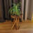 Aericka Solid Wood Plant Stand 1 Tier