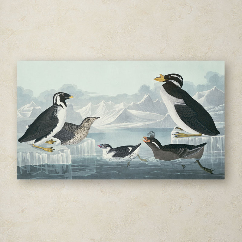 « black-gorgeed guillemot » par john james audubon, reproduction d’art sur toile tendue, H 30 po x l 47 po x P 2 po