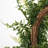 Artificial Buckler Fern and Grass Wreath-255513248