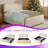King Size Metal Bed Frame with Upholstered Headboard and Footboard, Under-Bed Storage Drawers-776349987-776349984