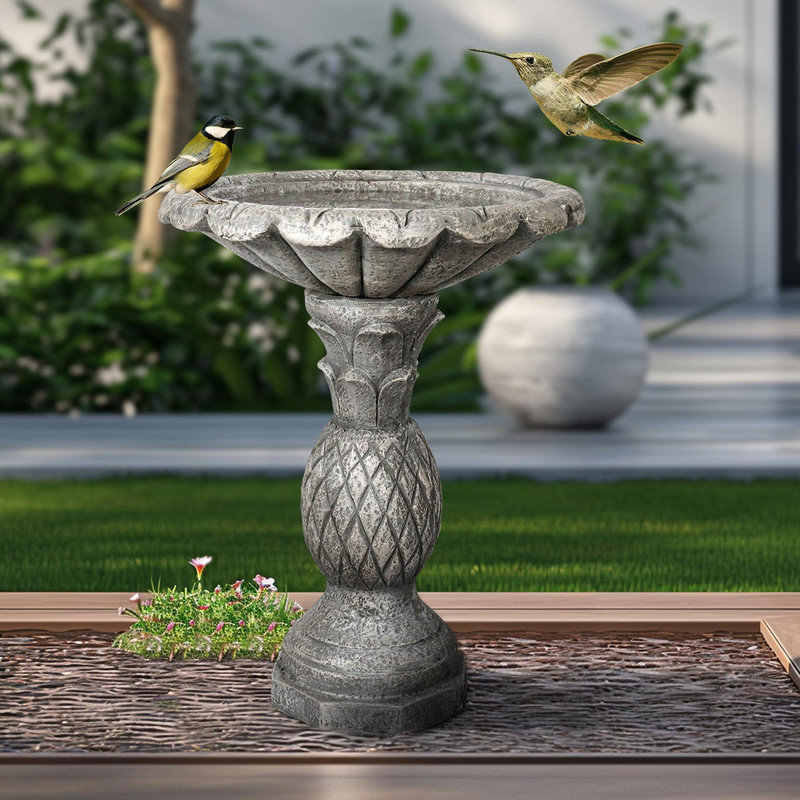 Étang d'oiseaux de jardin 24,8 "moderne avec base en ciment et base H