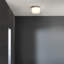 Aquina 2 - Light Flush Mount-70724066
